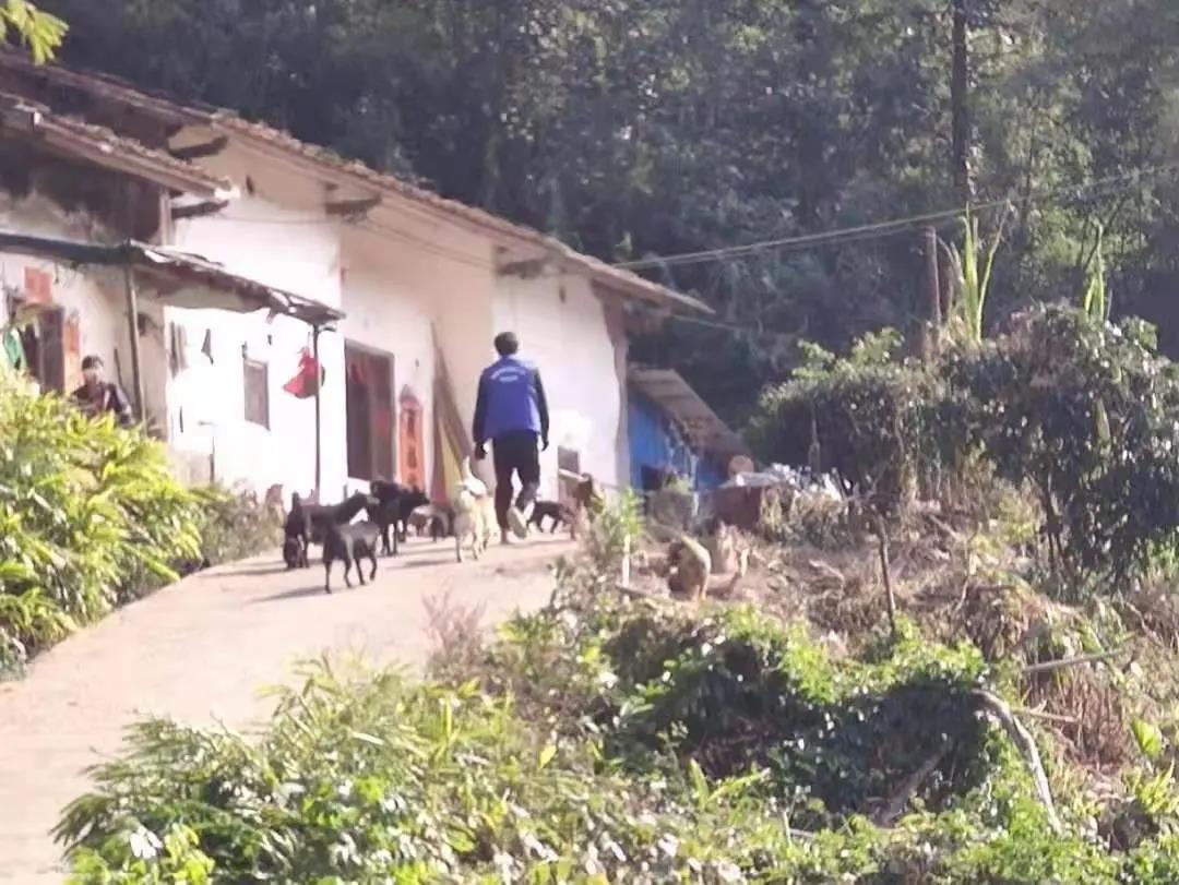 阳春房地一体项目纪实丨无悔青春多砥砺，最是奋斗动人心