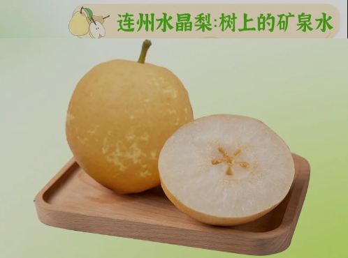 “桃李”炎暑，清冷一夏