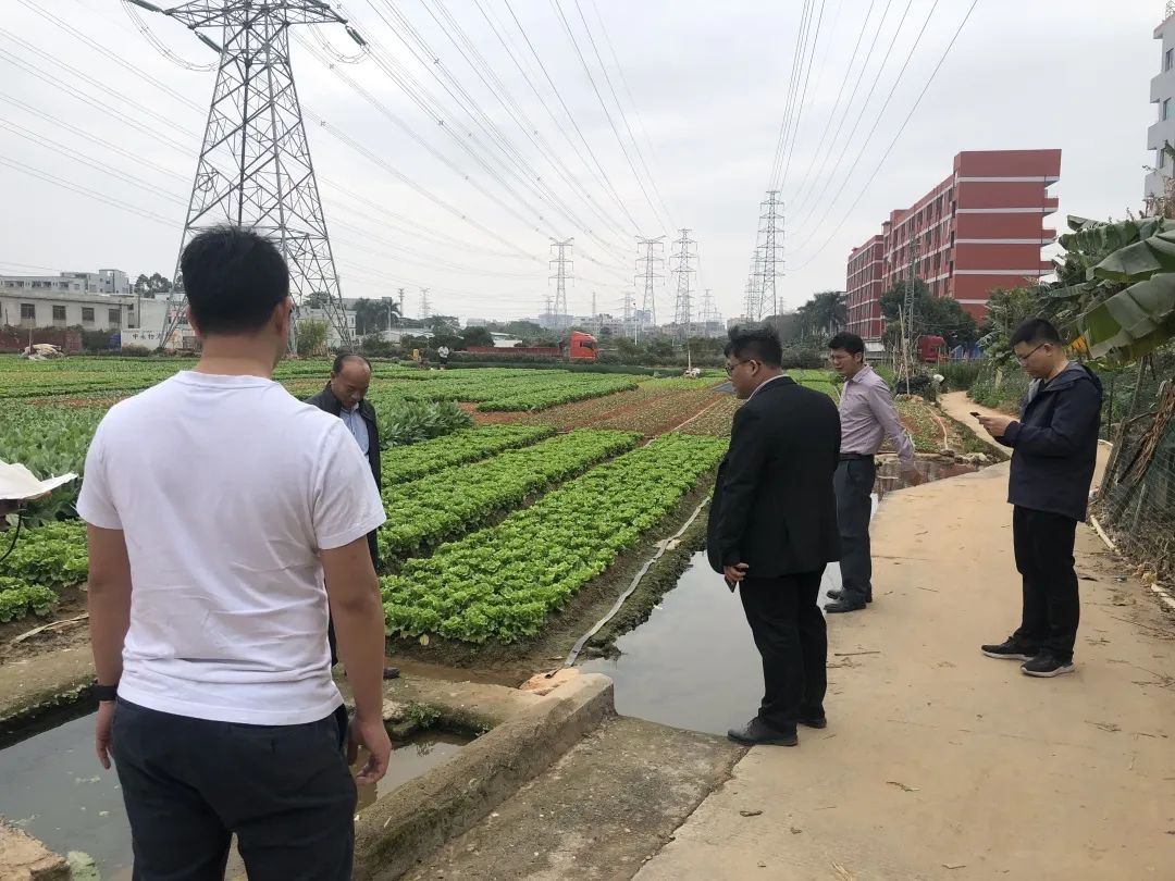 助力村落振兴，1066vip威尼斯一向在致力！