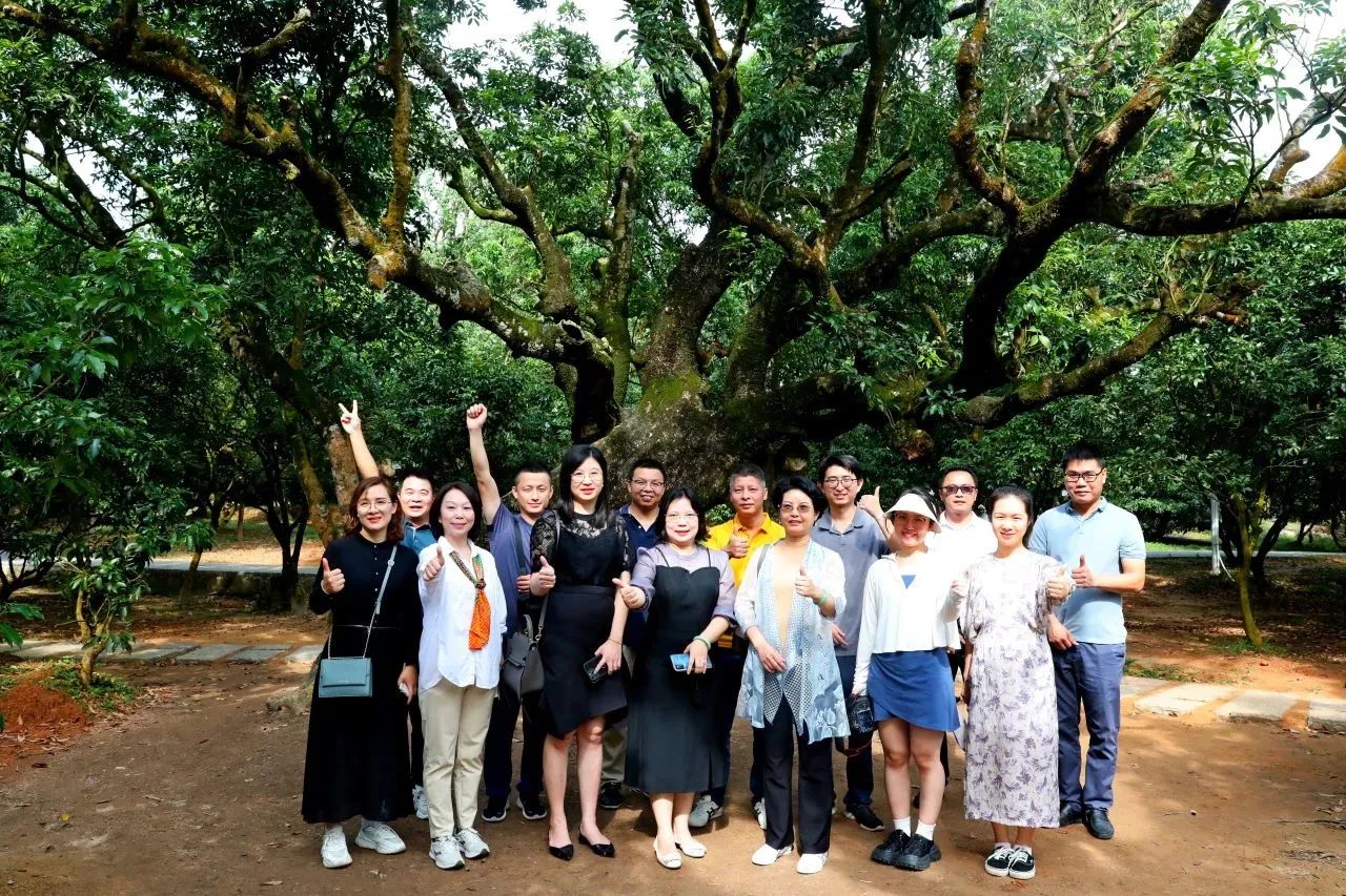 1066vip威尼斯集团作为省河山空间生态建复协会轮值会长带队调研粤西全域地皮综合整治工作