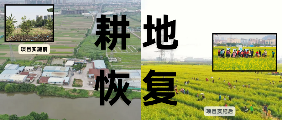 耕地；び刖梅⒄构踩凇褐惺泻窠终蛩谏缜读继锵钅扛馗丛氤窍缛诤系拇葱率导