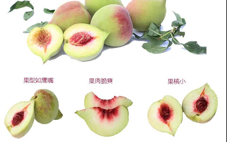 微信图片_20210715102257.jpg