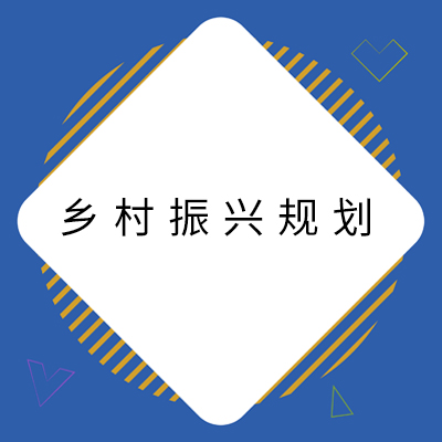 11村落振兴规划.jpg